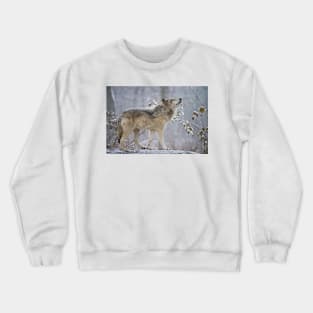 Grey Wolf Crewneck Sweatshirt